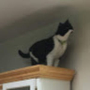 Meet your Posher, Claire